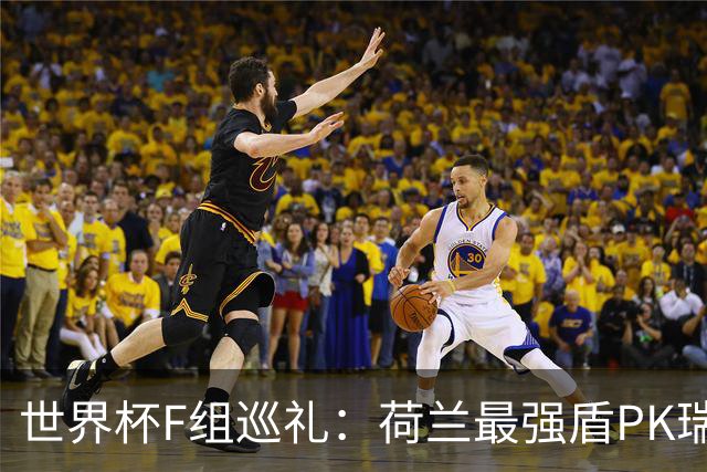 世界杯F组巡礼：荷兰最强盾PK瑞典犀利刀 日本短板明显